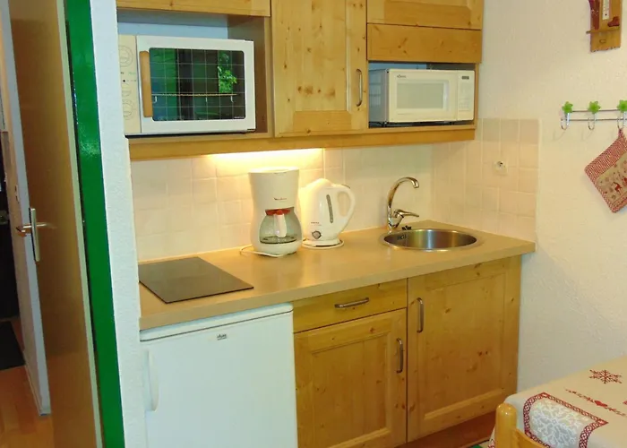 20m², 4 Pers, Balcon, Parking - Fr-1-517-40 * Chamonix