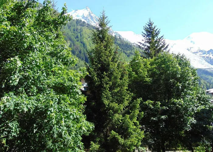 20m², 4 Pers, Balcon, Parking - Fr-1-517-40 * Chamonix